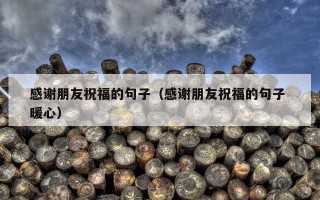 感谢朋友祝福的句子（感谢朋友祝福的句子 暖心）