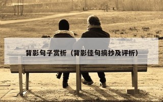 背影句子赏析（背影佳句摘抄及评析）