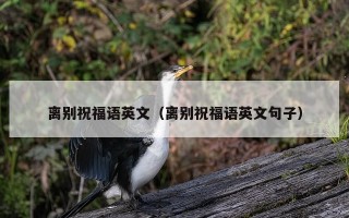 离别祝福语英文（离别祝福语英文句子）