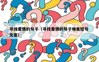 寻找爱情的句子（寻找爱情的句子唯美短句 文案）