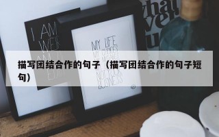 描写团结合作的句子（描写团结合作的句子短句）
