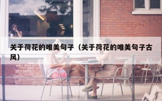 关于荷花的唯美句子（关于荷花的唯美句子古风）