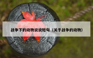 战争下的动物说说短句（关于战争的动物）