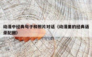 动漫中经典句子和照片对话（动漫里的经典语录配图）