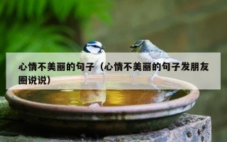 心情不美丽的句子（心情不美丽的句子发朋友圈说说）