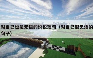 对自己也是无语的说说短句（对自己很无语的句子）