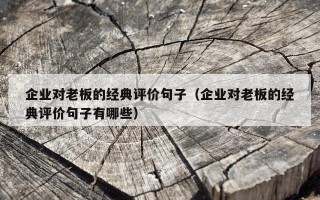 企业对老板的经典评价句子（企业对老板的经典评价句子有哪些）
