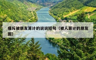 痛斥被朋友算计的说说短句（被人算计的朋友圈）