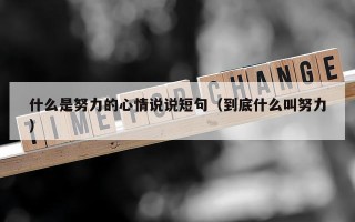 什么是努力的心情说说短句（到底什么叫努力）