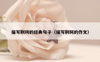 描写荆珂的经典句子（描写荆轲的作文）