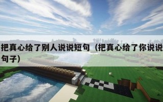 把真心给了别人说说短句（把真心给了你说说句子）