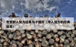 夸赞别人努力经典句子图片（夸人努力的经典语录）