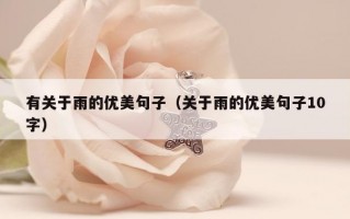 有关于雨的优美句子（关于雨的优美句子10字）