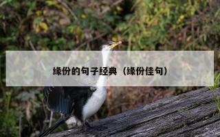 缘份的句子经典（缘份佳句）