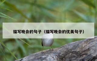 描写晚会的句子（描写晚会的优美句子）