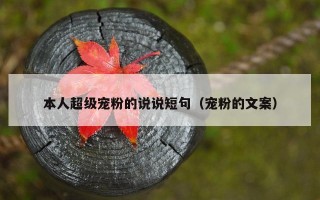 本人超级宠粉的说说短句（宠粉的文案）