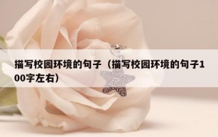 描写校园环境的句子（描写校园环境的句子100字左右）