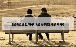 最好的遇见句子（最好的遇见的句子）