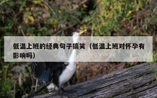 低温上班的经典句子搞笑（低温上班对怀孕有影响吗）