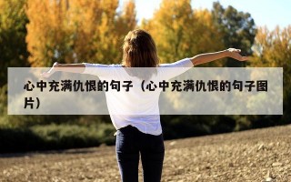心中充满仇恨的句子（心中充满仇恨的句子图片）