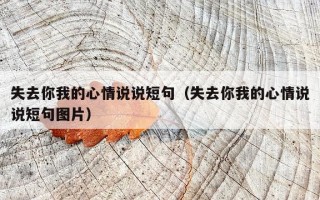 失去你我的心情说说短句（失去你我的心情说说短句图片）