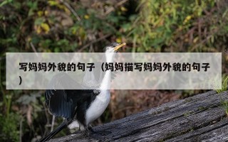 写妈妈外貌的句子（妈妈描写妈妈外貌的句子）