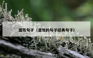 酒驾句子（酒驾的句子经典句子）