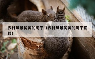 农村风景优美的句子（农村风景优美的句子摘抄）