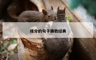 缘分的句子佛教经典