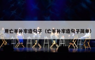 用亡羊补牢造句子（亡羊补牢造句子简单）