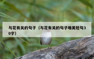 与花有关的句子（与花有关的句子唯美短句30字）