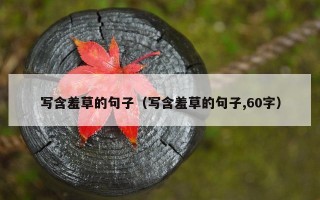 写含羞草的句子（写含羞草的句子,60字）