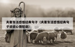 夫妻生活感悟经典句子（夫妻生活感悟经典句子说说心情短语）