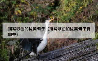 描写歌曲的优美句子（描写歌曲的优美句子有哪些）