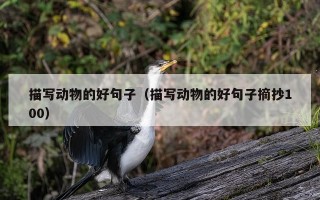 描写动物的好句子（描写动物的好句子摘抄100）