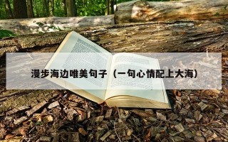 漫步海边唯美句子（一句心情配上大海）