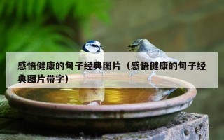 感悟健康的句子经典图片（感悟健康的句子经典图片带字）