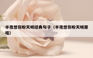 半夜想你盼天明经典句子（半夜想你盼天明原唱）