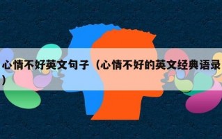 心情不好英文句子（心情不好的英文经典语录）