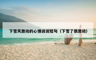 下雪天激动的心情说说短句（下雪了很激动）
