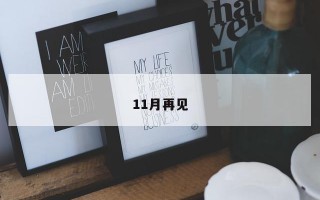 11月再见