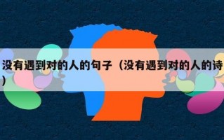 没有遇到对的人的句子（没有遇到对的人的诗）
