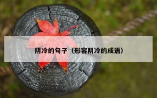阴冷的句子（形容阴冷的成语）