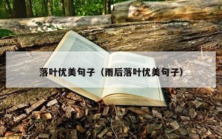 落叶优美句子（雨后落叶优美句子）