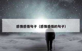 感情感悟句子（感情感悟的句子）