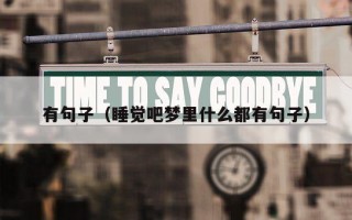 有句子（睡觉吧梦里什么都有句子）