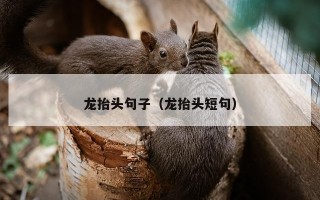 龙抬头句子（龙抬头短句）