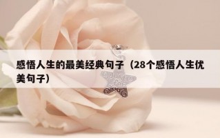 感悟人生的最美经典句子（28个感悟人生优美句子）