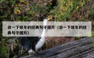 说一下修车的经典句子图片（说一下修车的经典句子图片）