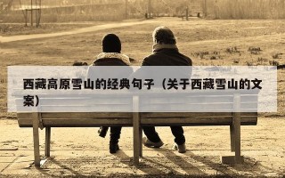 西藏高原雪山的经典句子（关于西藏雪山的文案）